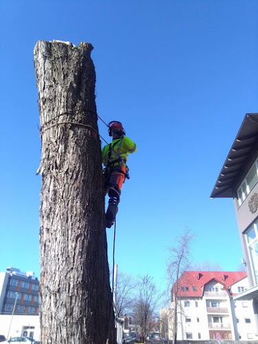 Nyírfűkaszálás, Mészáros István - Nyíregyháza