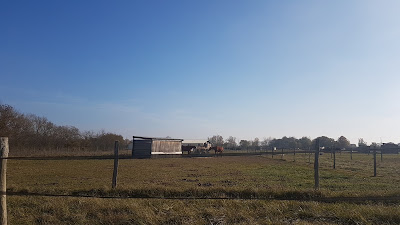 Domaine équestre de la Hitte à Fonsorbes