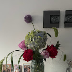 Photo n° 3 de l'avis de zabou.e fait le 31/05/2022 à 05:57 pour Fleurs & Clo à Le Péage-de-Roussillon
