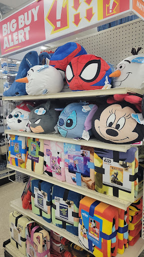 Discount Store «Big Lots», reviews and photos, 308 FL-312, St Augustine, FL 32086, USA