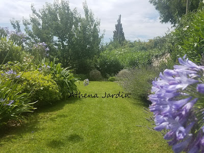 Athena Jardin à Le Rouret