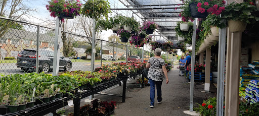 Produce Market «Elias Market», reviews and photos, 3131 Linden St, Bethlehem, PA 18017, USA