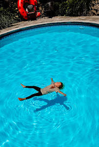 Little Squirts Aquatics - Photo 3 - Car repair in , Fayetteville