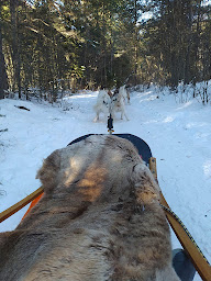 Photo n°6 de Au Hurlement Du Crépuscule à Val-d'Oronaye ()