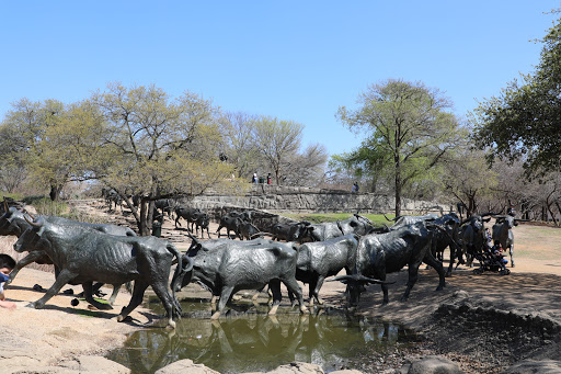 Tourist Attraction «Pioneer Plaza», reviews and photos, 1428 Young St, Dallas, TX 75202, USA