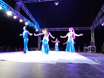 Escuela & Compañía Danza Artes Valdivia