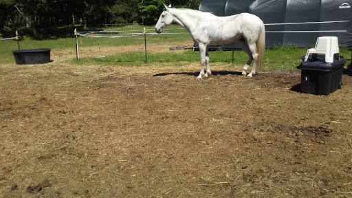 Golf Course «Champion Hill Golf Course», reviews and photos, 501 N Marshall Rd, Beulah, MI 49617, USA