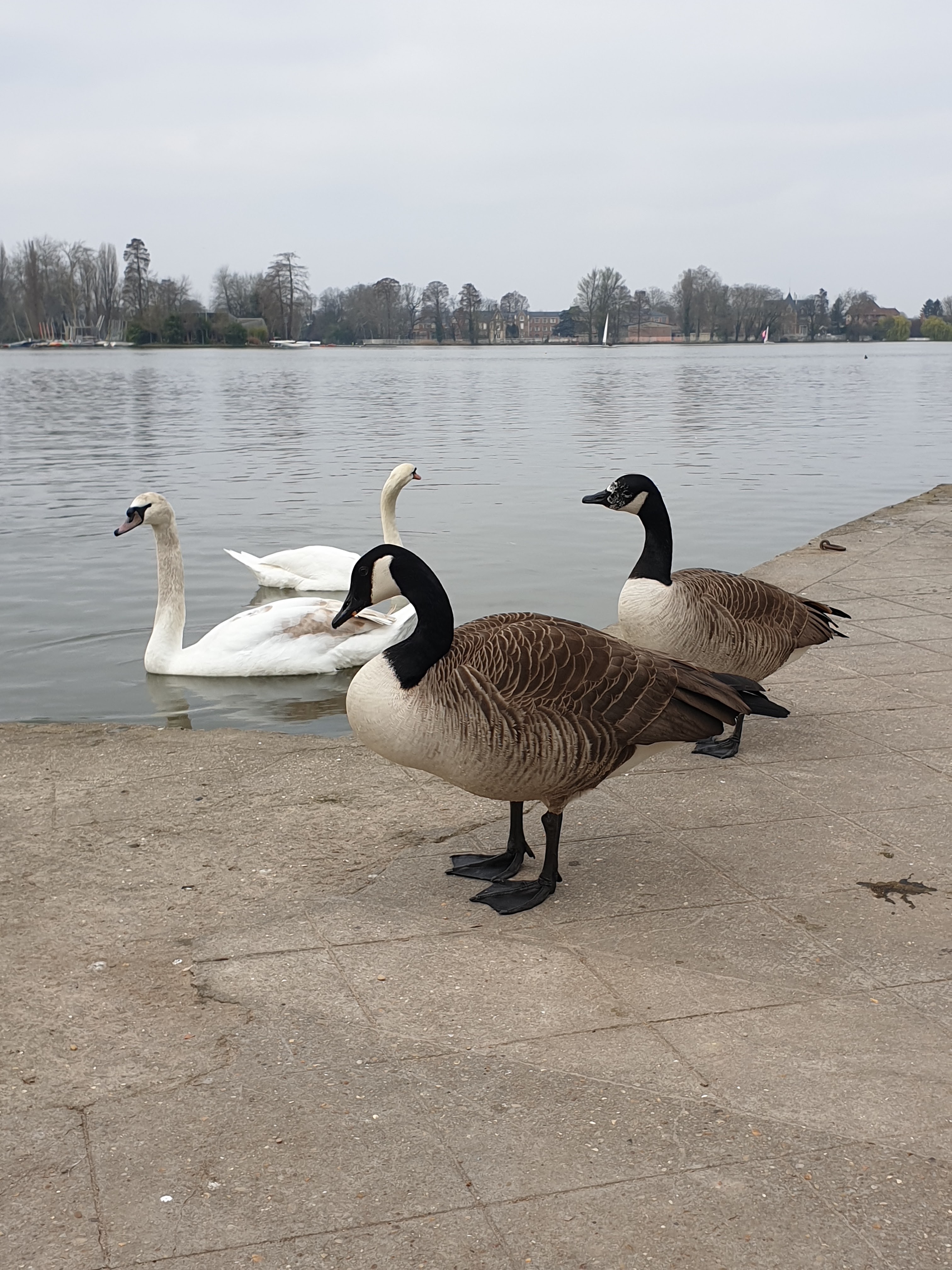 Photo n° 1 de l'avis de anthony.o fait le 25/03/2019 à 08:14