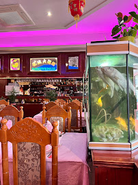 Atmosphère du Restaurant chinois Le Dragon d'Or à Arras - n°3