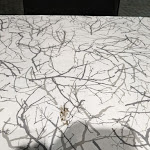 Photo n°2 de l'avis de Luigi. fait le 27/07/2023 à 19:40 sur le  Brothers pizza à Baia Domizia