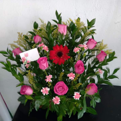 Florería Gely