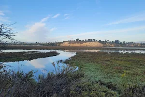 Ecological Reserve of Upper Newport Bay image