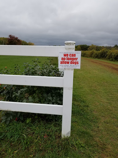 Winery «Leonard Oakes Estate Winery», reviews and photos, 10609 Ridge Rd, Medina, NY 14103, USA