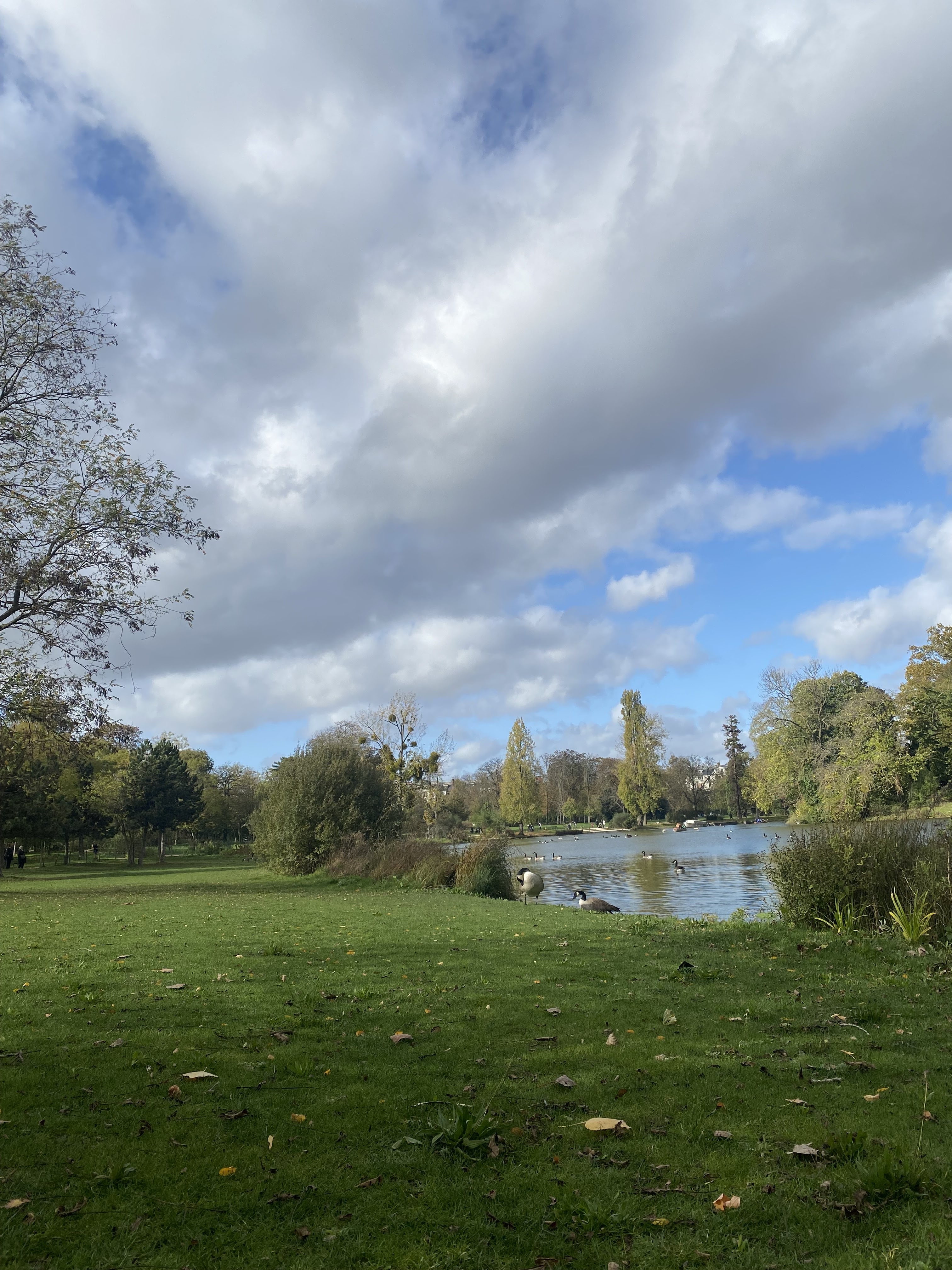 Photo n° 4 de l'avis de Layana. fait le 02/11/2022 à 13:10