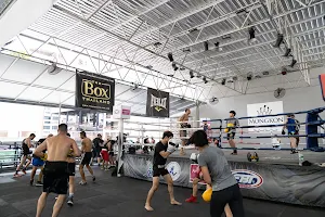 The Box Thailand Boxing Academy & Training Camp, Bangkok image