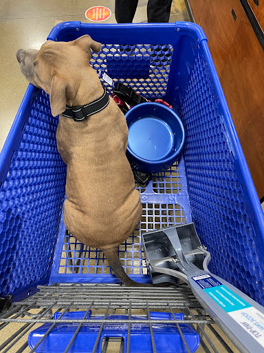 Pet Supply Store «PetSmart», reviews and photos, 2325 S Stemmons Fwy, Lewisville, TX 75067, USA