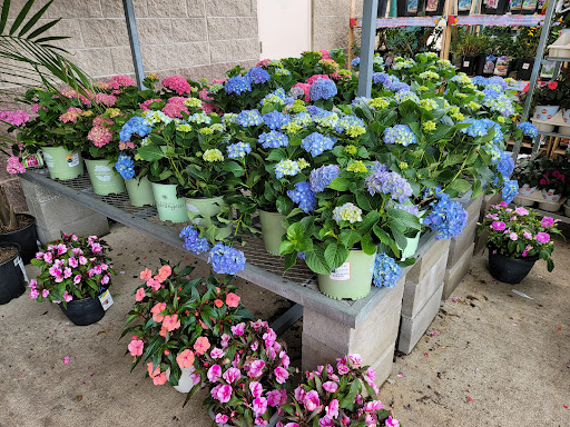 Home Improvement Store «The Home Depot», reviews and photos, 701 W Edgar Rd, Linden, NJ 07036, USA