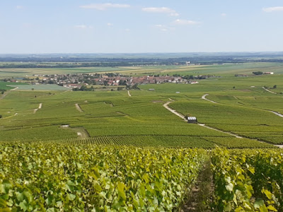 Champagne Schmitt Père et Fils à Ambonnay