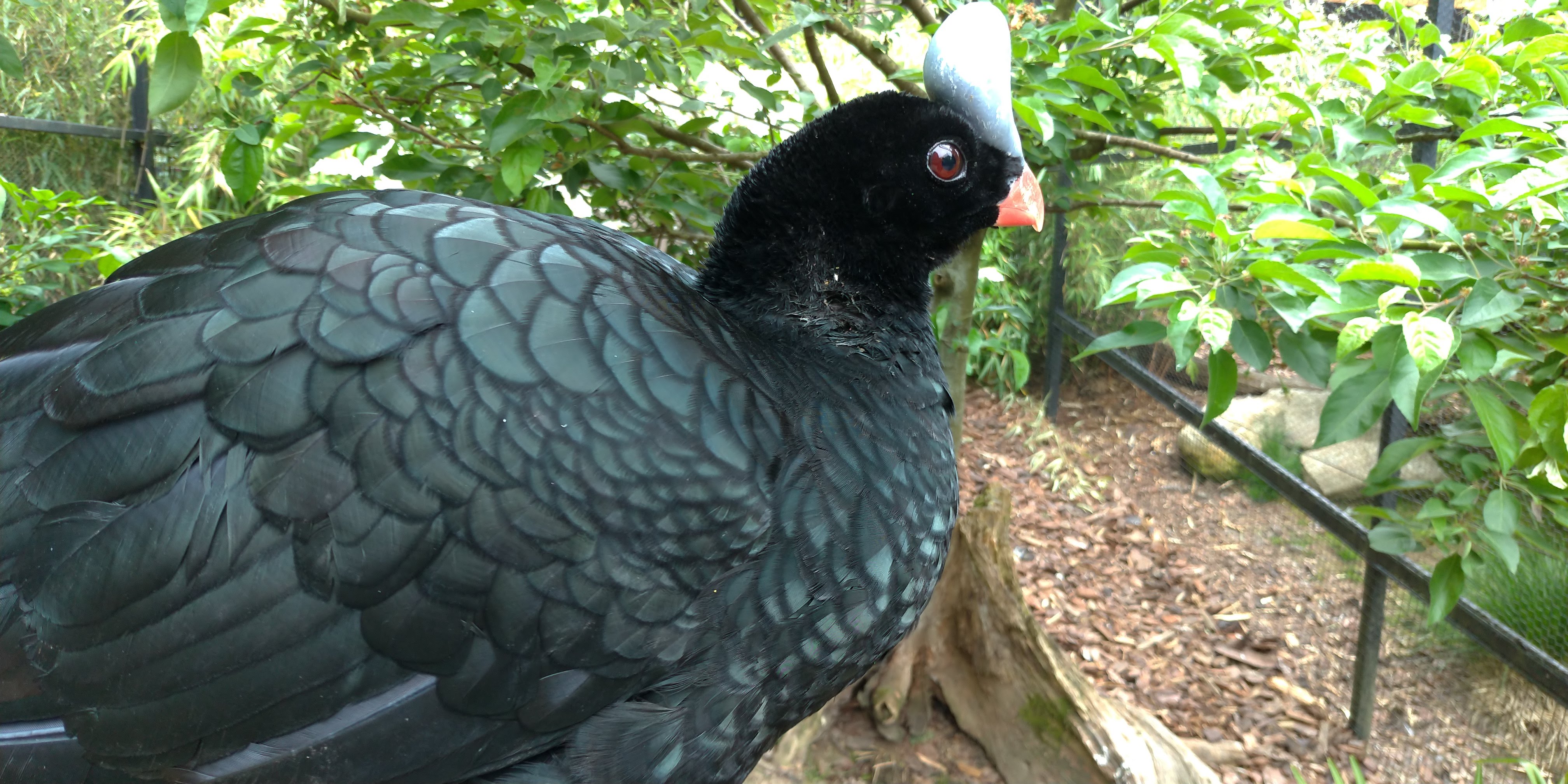 Photo n° 4 de l'avis de Maxime.E fait le 19/05/2019 à 20:15