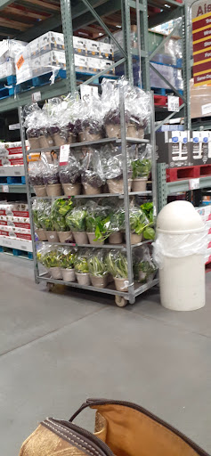Warehouse club «BJ’s Wholesale Club», reviews and photos, 6290 Commerce Palms Dr, Tampa, FL 33647, USA