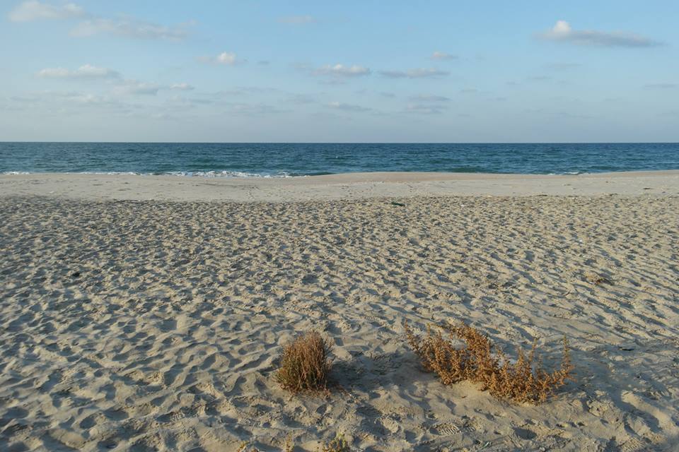 Foto van Sama El Arish Beach met turquoise puur water oppervlakte