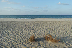 Foto von Sama El Arish Beach mit lange, gerade küste