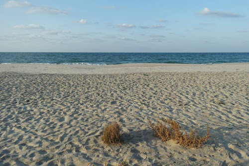 Sama El Arish Beach photo #2