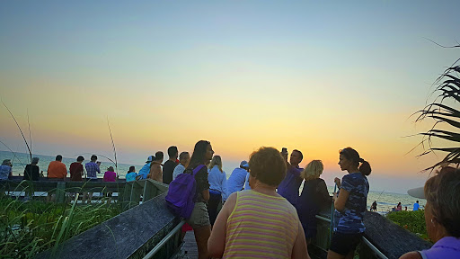 Bar «Beach Box Cafe», reviews and photos, 9020 Gulf Shore Dr, Naples, FL 34108, USA