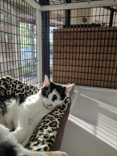 Pet Supply Store «Pet Supermarket», reviews and photos, 268 Grande Heights Dr, Cary, NC 27513, USA