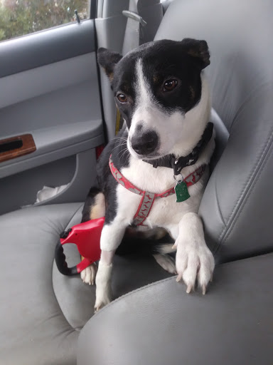 Pet Supply Store «PetSmart», reviews and photos, 2135 NJ-38 Ste B, Cherry Hill, NJ 08002, USA