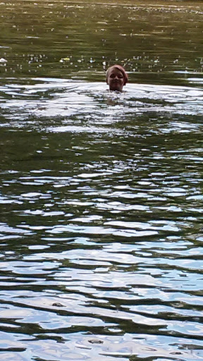 Park «Lou Berliner Park», reviews and photos, 1300 Deckenbach Rd, Columbus, OH 43223, USA