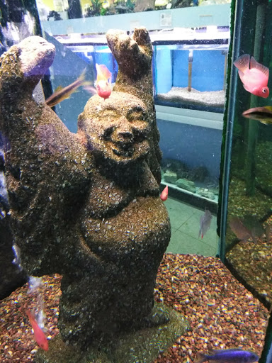 Tropical Fish Store «Monfort Aquarium & Pet», reviews and photos, 6520 Colerain Ave, Cincinnati, OH 45239, USA