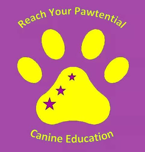 Reach Your Pawtential - Dog trainer
