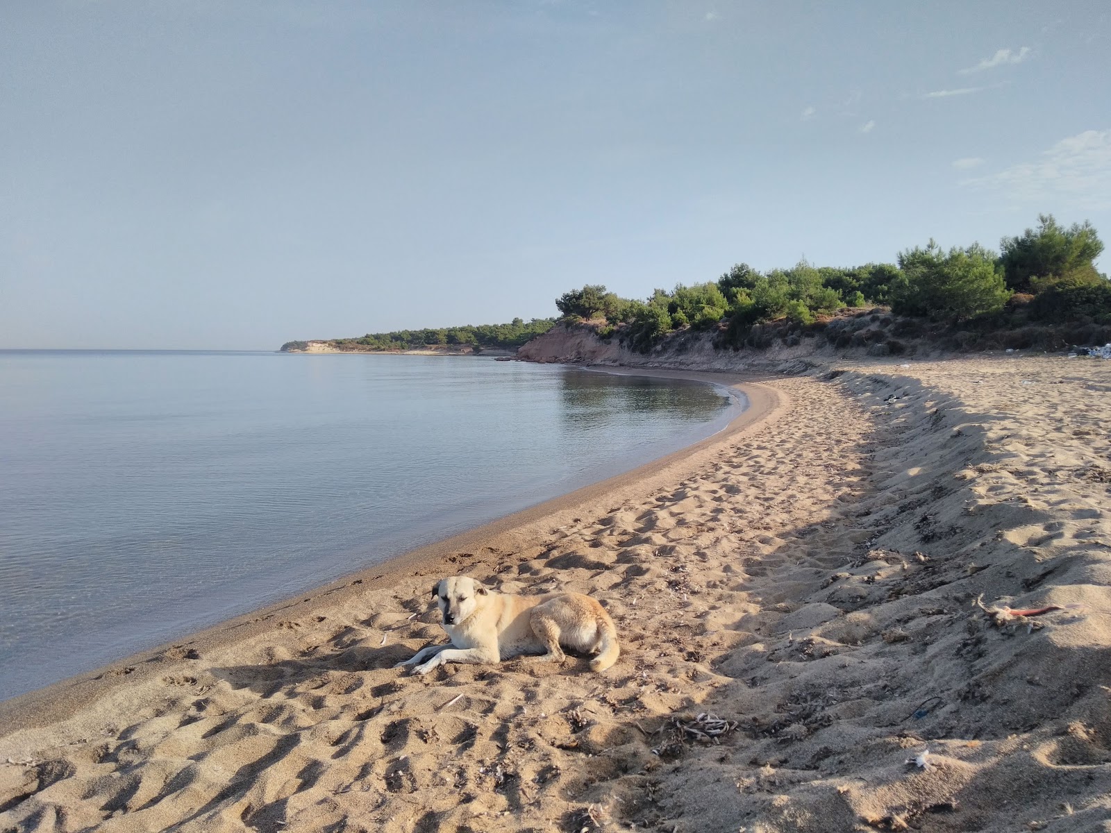 Photo de Kumburnu beach avec rivage droit, long