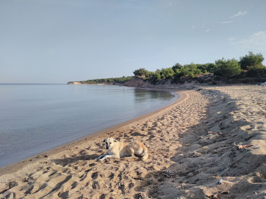 Kumburnu beach