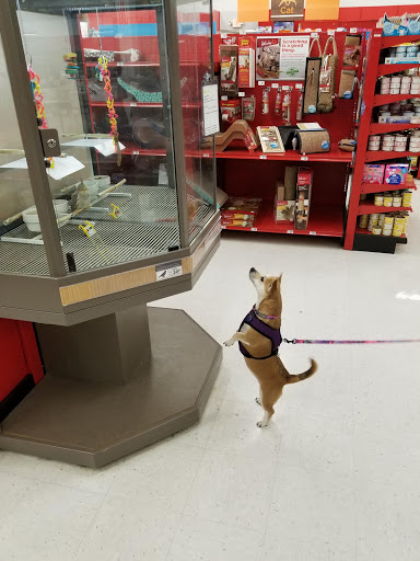 Pet Supply Store «Petco Animal Supplies», reviews and photos, 6425 Keizer Station Blvd, Keizer, OR 97303, USA