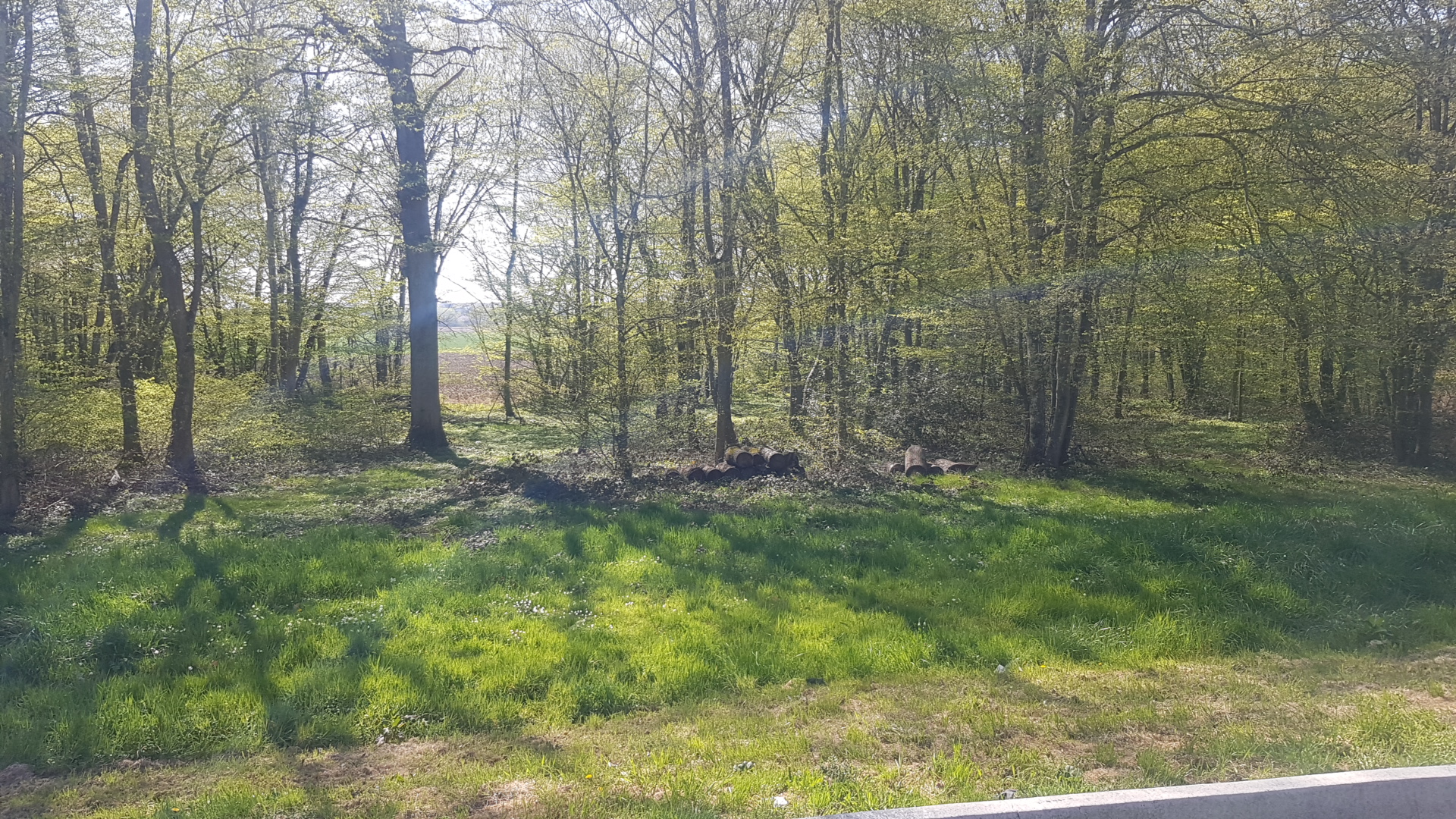 Photo n° 3 de l'avis de Georgian.e fait le 01/04/2020 à 13:21
