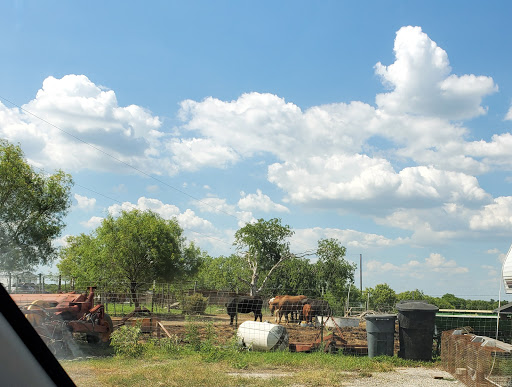 Poultry Farm «R Farm», reviews and photos, 1041 Farm-To-Market 2537, San Antonio, TX 78221, USA