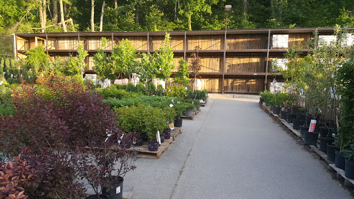 Home Improvement Store «Menards», reviews and photos, 11357 N Linden Rd, Clio, MI 48420, USA