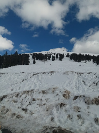 Plumber «Evergreen Septic Pumping», reviews and photos, 322 Quarter Cir Ln, Evergreen, CO 80439, USA