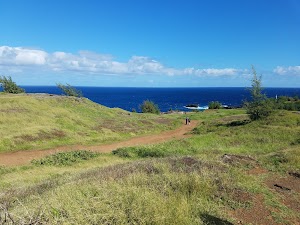 Acid War Zone Trail - photo 4