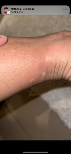 Movie Theater «iPic Theaters», reviews and photos, 3701 NE 163rd St, North Miami Beach, FL 33160, USA