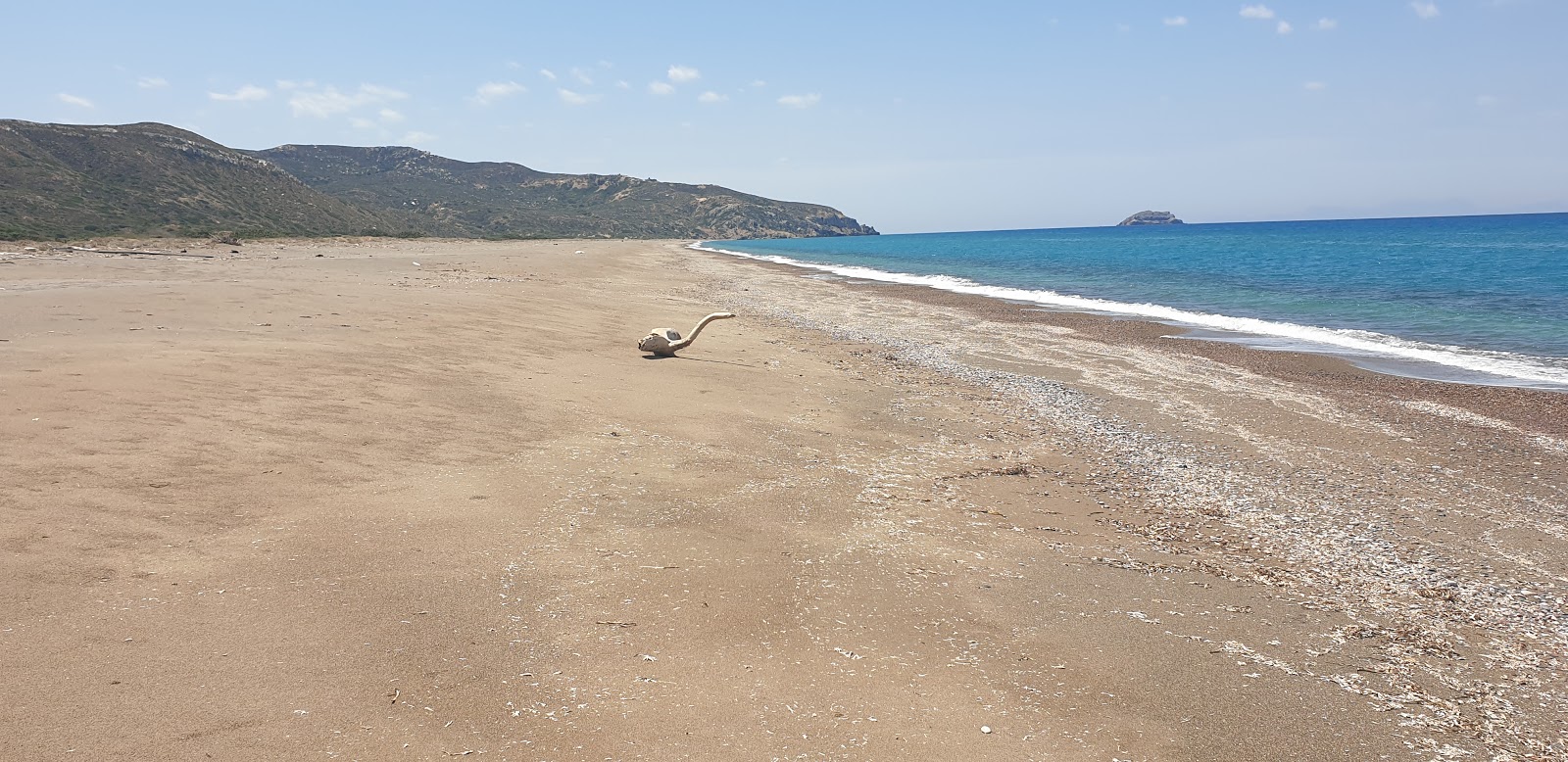 Foto av Wild beach med mörkblå vatten yta