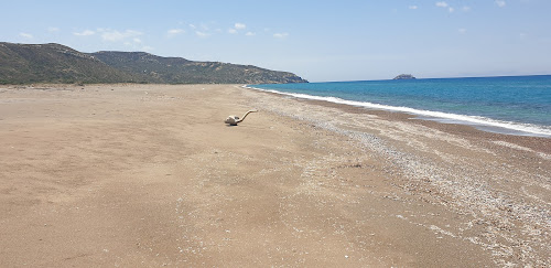 Wild beach photo #1