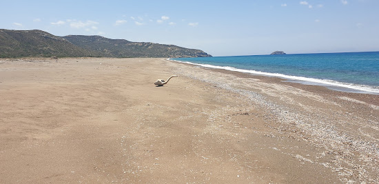 Wild beach