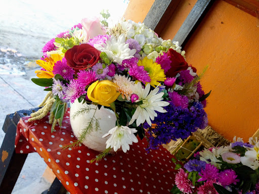 Floristería Orquídea – Huehuetoca