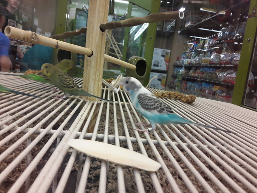 Pet Supply Store «Petco Animal Supplies», reviews and photos, 30697 US Hwy 19 N, Palm Harbor, FL 34684, USA