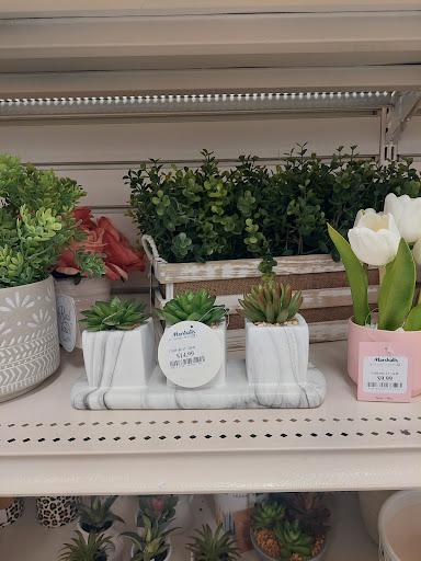 Department Store «Marshalls», reviews and photos, 7230 Bell Creek Rd b, Mechanicsville, VA 23111, USA