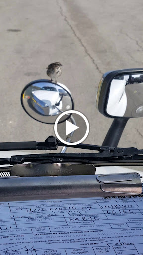 Mailing Service «FedEx Freight», reviews and photos, 3200 Workman Mill Rd, Whittier, CA 90601, USA