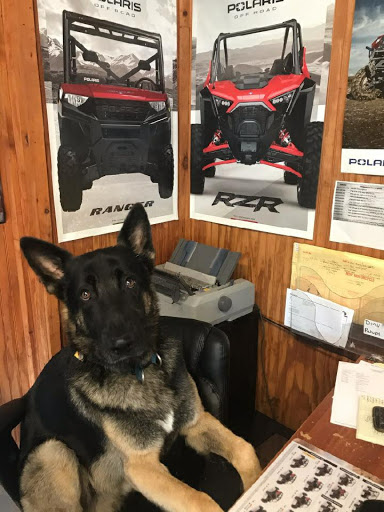 Motorcycle Dealer «Ledgewood Powersports», reviews and photos, 1368 US-46, Ledgewood, NJ 07852, USA